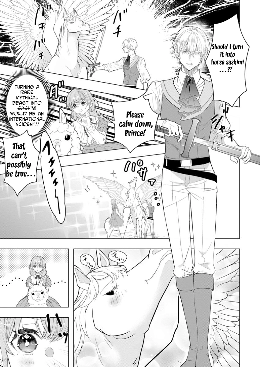 Cinderella’s Sister Became the Prince’s Bride, Living a Slow Life as the Stand-In Princess Chapter 22 Page 7